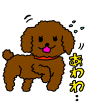 Cute family poodle More sticker #5374211