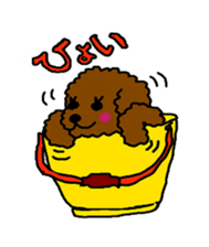 Cute family poodle More sticker #5374212