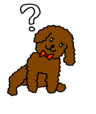 Cute family poodle More sticker #5374215