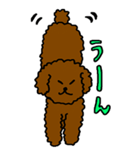 Cute family poodle More sticker #5374217