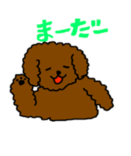 Cute family poodle More sticker #5374223
