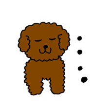 Cute family poodle More sticker #5374234