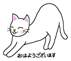 Words to use well of white cat Myi sticker #5374570