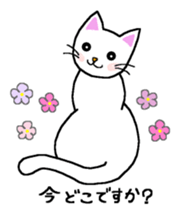 Words to use well of white cat Myi sticker #5374580