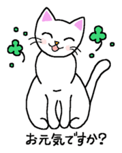 Words to use well of white cat Myi sticker #5374590