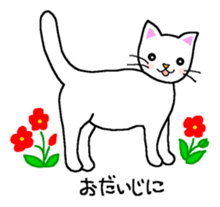 Words to use well of white cat Myi sticker #5374594