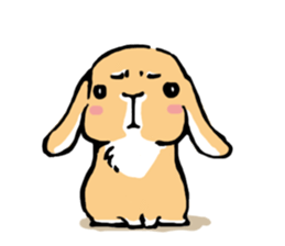 Hi! I'm Rabbit. Nice to meet you. sticker #5383645