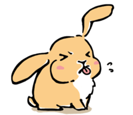 Hi! I'm Rabbit. Nice to meet you. sticker #5383646