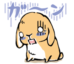 Hi! I'm Rabbit. Nice to meet you. sticker #5383647