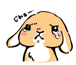 Hi! I'm Rabbit. Nice to meet you. sticker #5383648