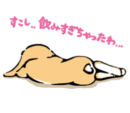 Hi! I'm Rabbit. Nice to meet you. sticker #5383653