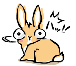 Hi! I'm Rabbit. Nice to meet you. sticker #5383660