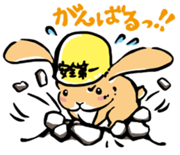 Hi! I'm Rabbit. Nice to meet you. sticker #5383662