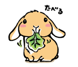 Hi! I'm Rabbit. Nice to meet you. sticker #5383665