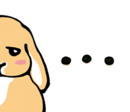 Hi! I'm Rabbit. Nice to meet you. sticker #5383671