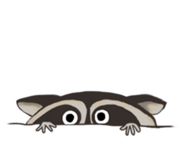 raccoon life sticker #5385476