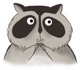 raccoon life sticker #5385477