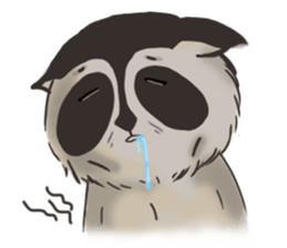 raccoon life sticker #5385487