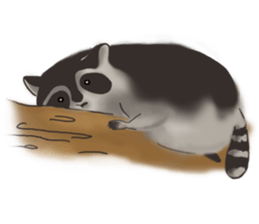 raccoon life sticker #5385489