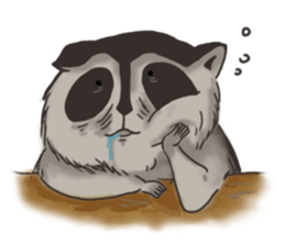 raccoon life sticker #5385490
