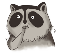 raccoon life sticker #5385495