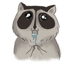 raccoon life sticker #5385499