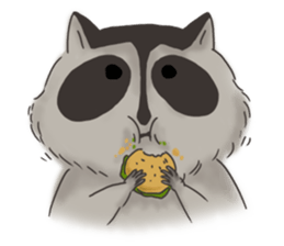 raccoon life sticker #5385500