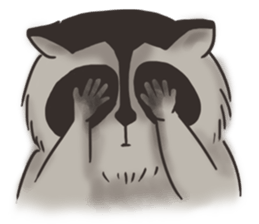 raccoon life sticker #5385504