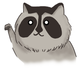raccoon life sticker #5385506