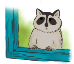 raccoon life sticker #5385510