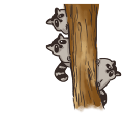 raccoon life sticker #5385511