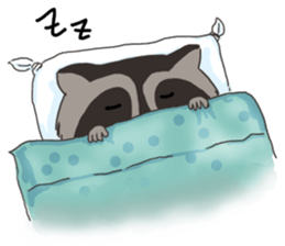 raccoon life sticker #5385514