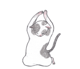 dancing with cat sticker #5385562