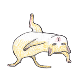 dancing with cat sticker #5385576