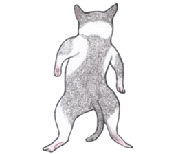 dancing with cat sticker #5385587