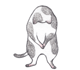 dancing with cat sticker #5385591