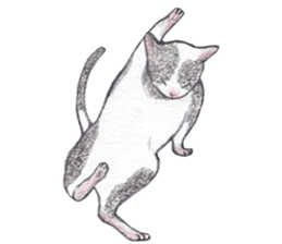 dancing with cat sticker #5385592
