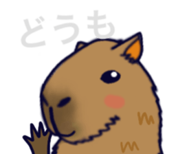 Capybara in Kansai dialect sticker #5385916