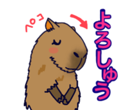 Capybara in Kansai dialect sticker #5385917