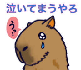 Capybara in Kansai dialect sticker #5385923