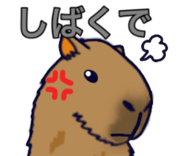 Capybara in Kansai dialect sticker #5385924