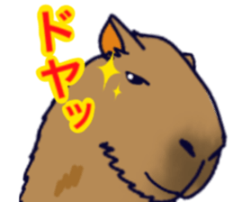 Capybara in Kansai dialect sticker #5385925