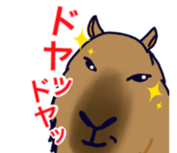 Capybara in Kansai dialect sticker #5385926