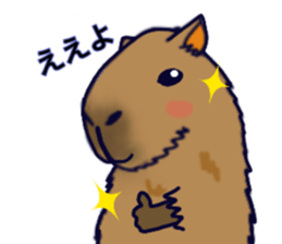 Capybara in Kansai dialect sticker #5385928