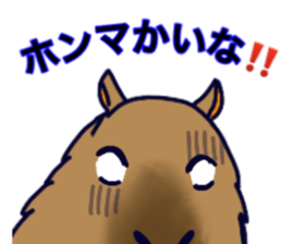 Capybara in Kansai dialect sticker #5385929