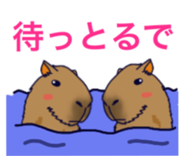 Capybara in Kansai dialect sticker #5385932