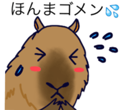 Capybara in Kansai dialect sticker #5385933