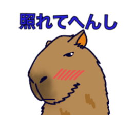 Capybara in Kansai dialect sticker #5385936
