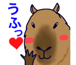Capybara in Kansai dialect sticker #5385938