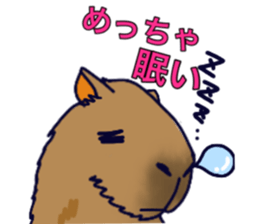 Capybara in Kansai dialect sticker #5385939